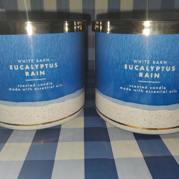 Eucalyptus rain  scented 3 wick candle - Picture 2 of 4